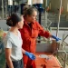 The hidden impact of veterinary care: new insights from a global survey of veterinarians