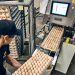 Inside Modern Hatcheries: Why People Still Power Performance