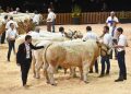 SOMMET DE L’ÉLEVAGE 2026: A Global Meeting Point for the Livestock Industry
