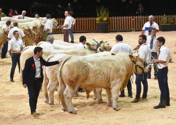 SOMMET DE L’ÉLEVAGE 2026: A Global Meeting Point for the Livestock Industry