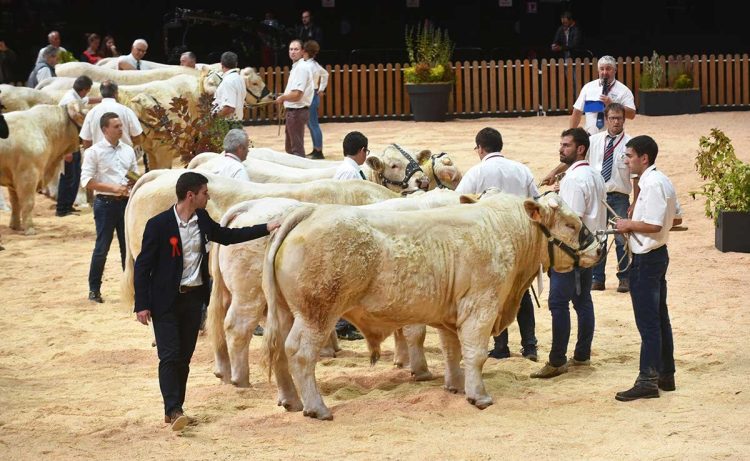 SOMMET DE L’ÉLEVAGE 2026: A Global Meeting Point for the Livestock Industry