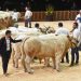 SOMMET DE L’ÉLEVAGE 2026: A Global Meeting Point for the Livestock Industry