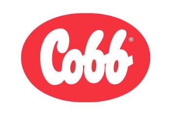 Cobb-Vantress Promotes Mark Hamby to Director of Sales, North America